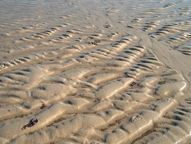 Scavenger Hunt Image